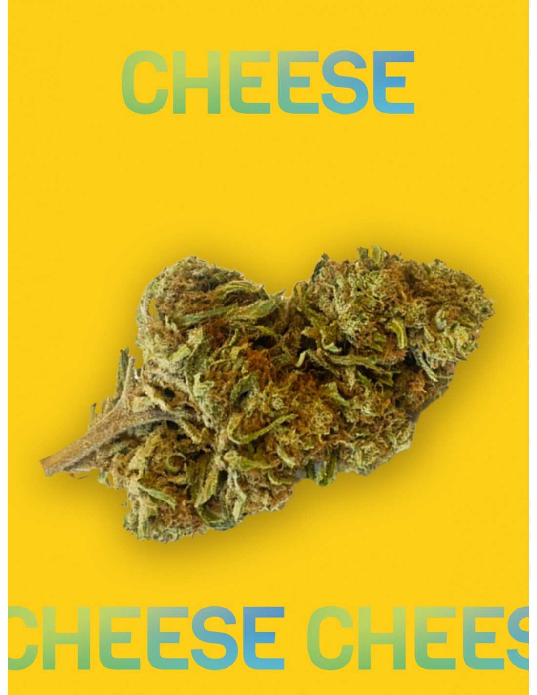 Cheese cannabis light cbd 21+