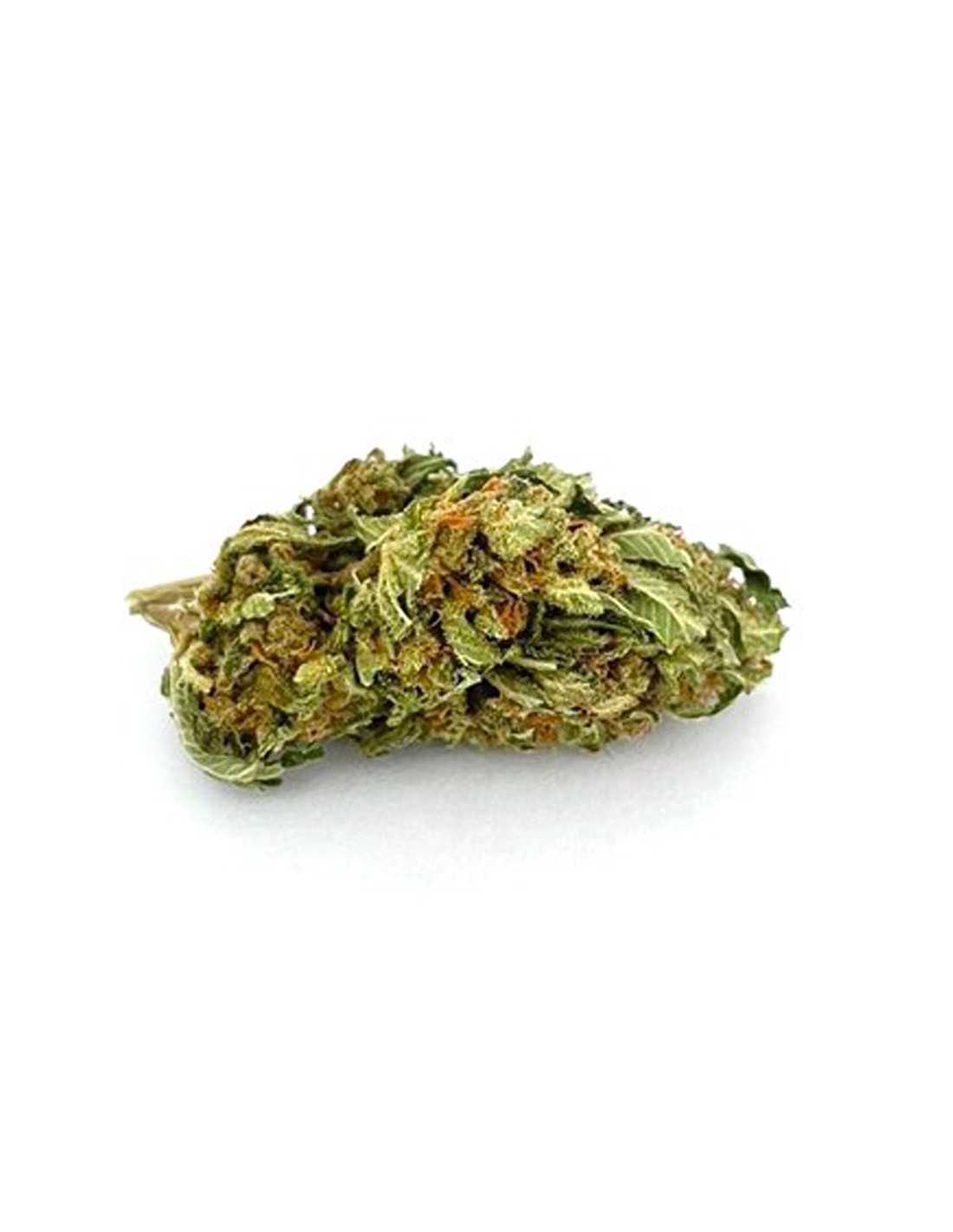 Amnesia Cbd 18%+ - Cannabis Light