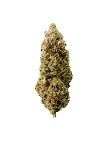 gelato cannabis light
