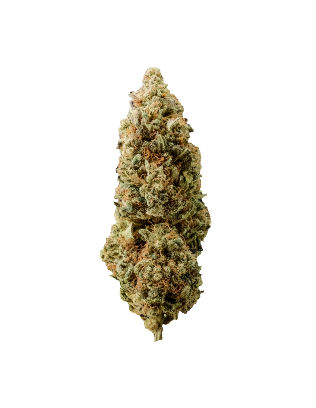 gelato cannabis light