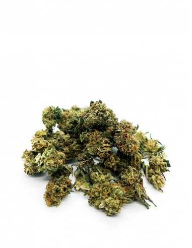Pop Corn Cbd 15%+ - Cannabis Light