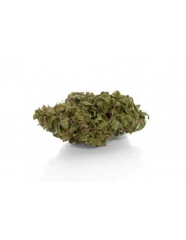 Orange Bud Cbd 15% - Cannabis Light