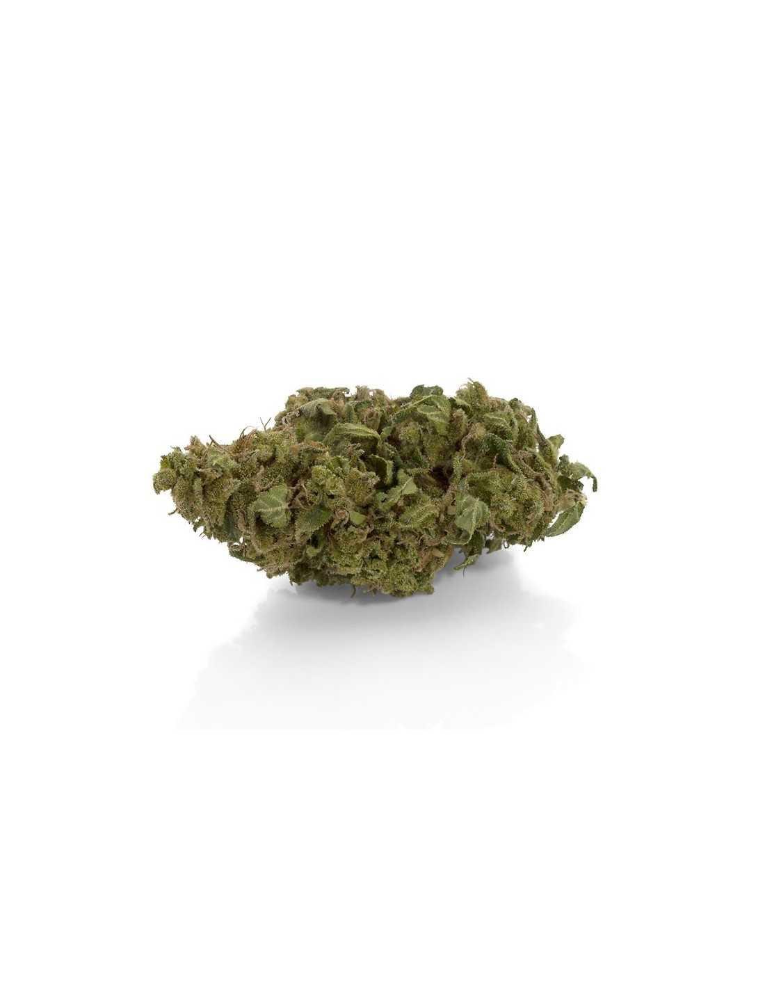 Orange Bud Cbd 15% - Cannabis Light